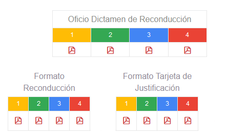 Formatos Reconducción, Dictamen y Justificación